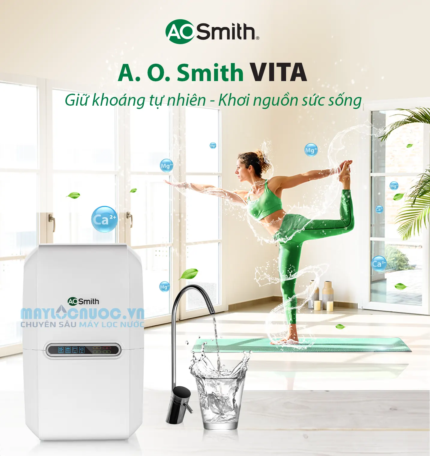 Máy lọc nước A. O. Smith VITA