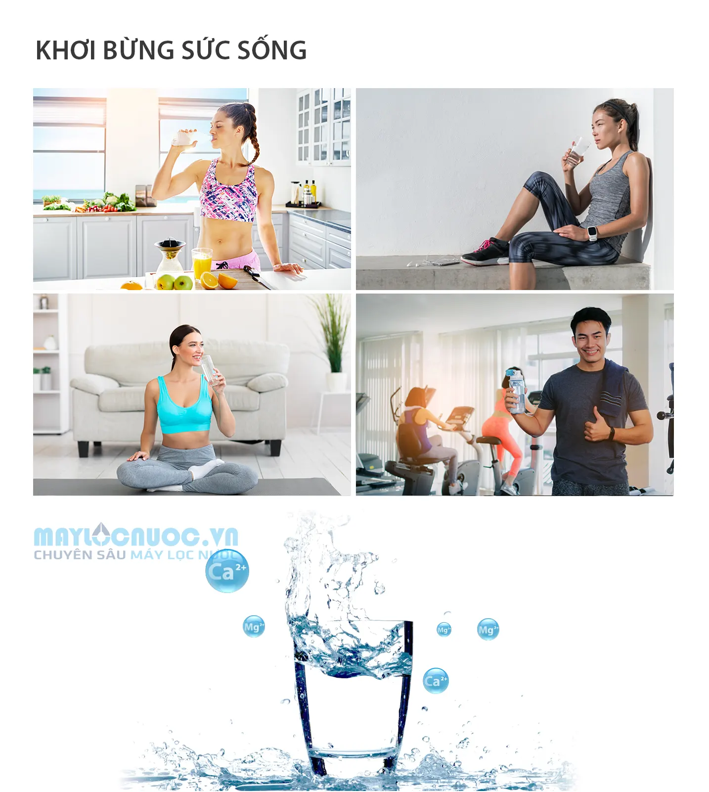 Máy lọc nước A. O. Smith VITA