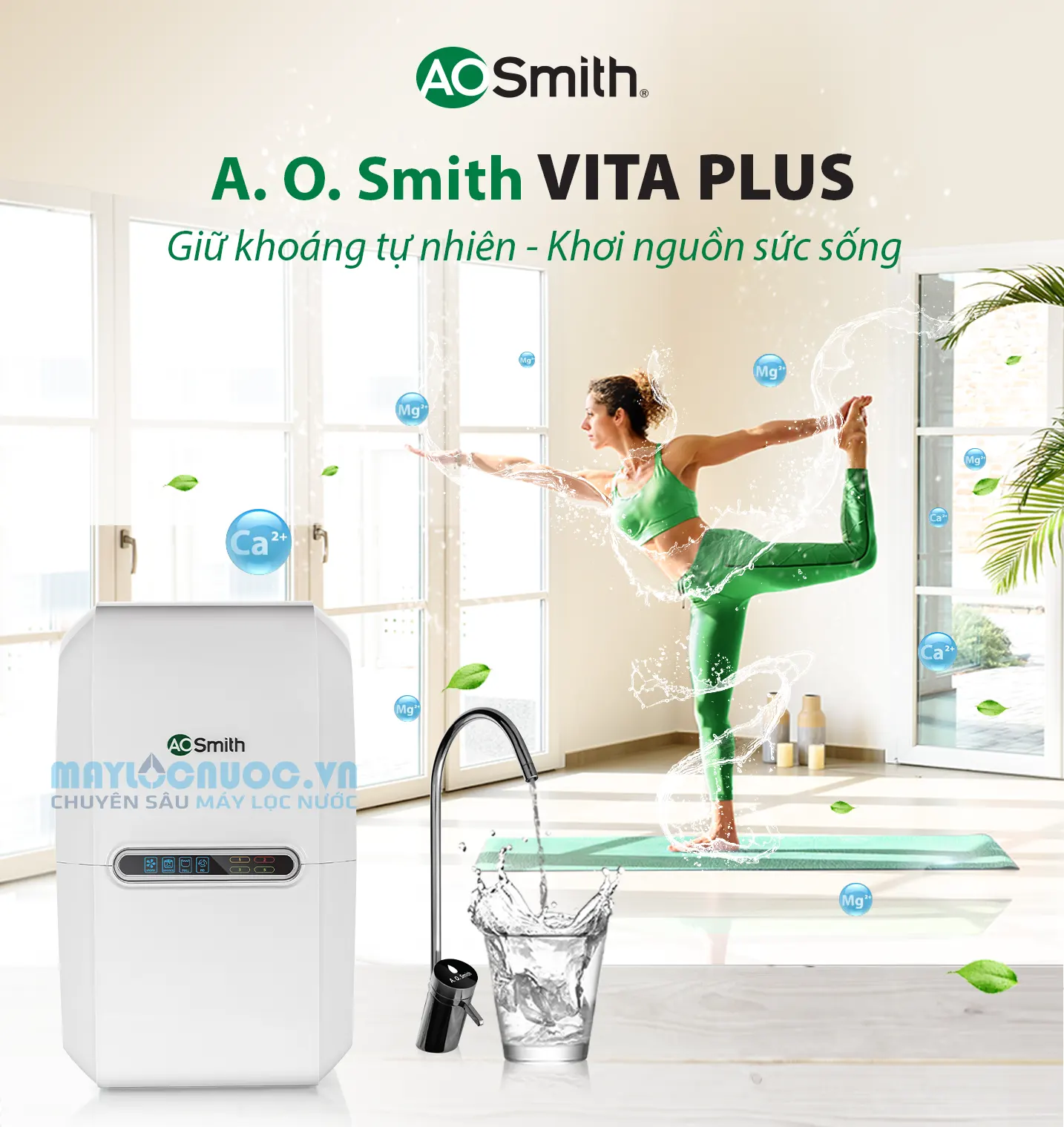 Máy lọc nước A. O. Smith VITA Plus