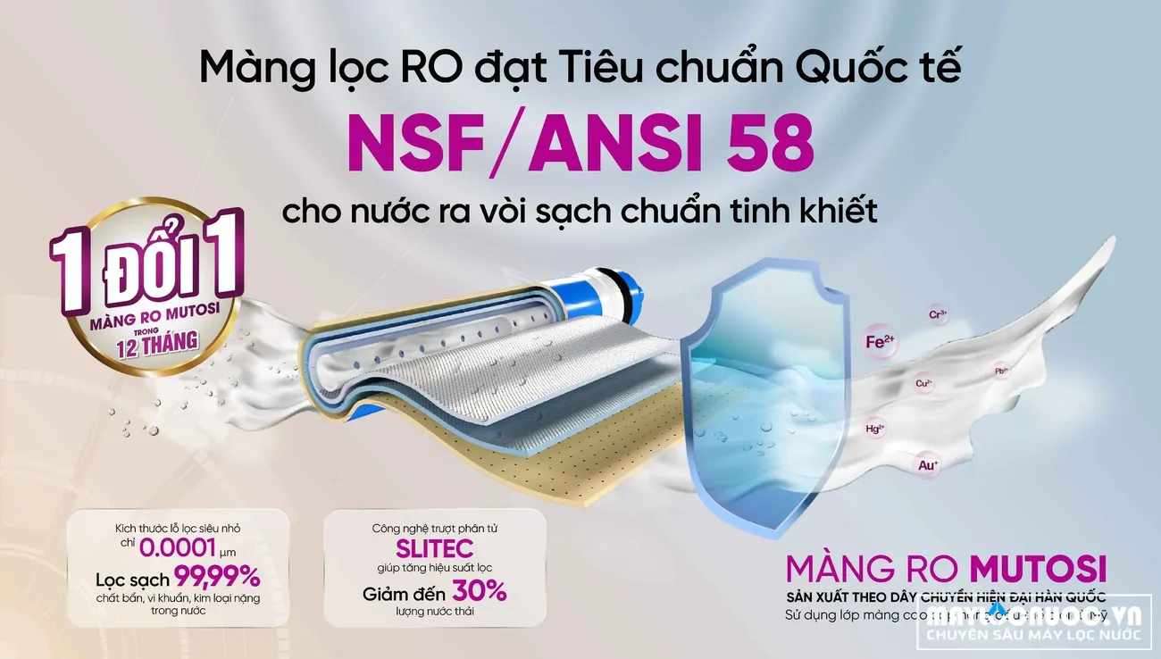 z5054640859346-8c23ecc408ebb6da288f20844f4535f7