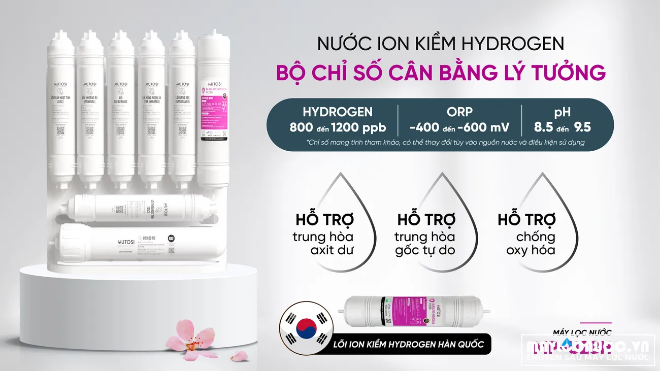 bo-chi-so-can-bang-ly-tuong