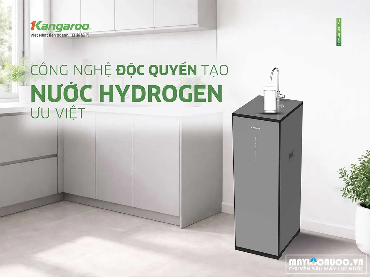 Máy lọc nước Kangaroo Hydrogen KG10S24H1