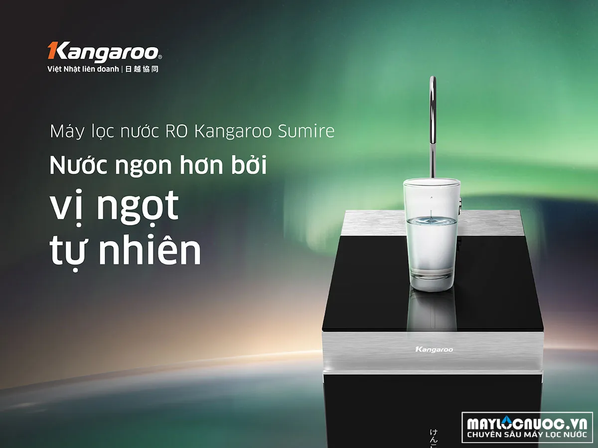 Máy lọc nước 11 lõi Kangaroo KG100N