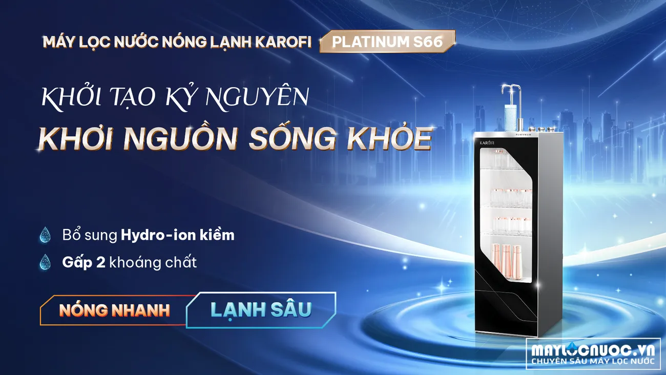 tsp-platium-s66-kinh-moi-01