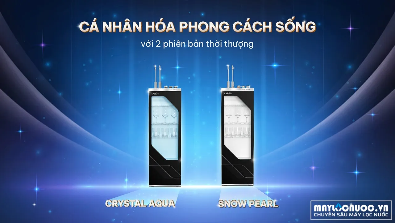 may-loc-nuoc-nong-lanh-karofi-platinum-s66-11